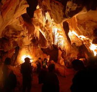 Careys Cave - Accommodation Mermaid Beach