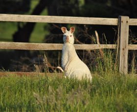 Panorama Garden Estate - Accommodation Mermaid Beach 0