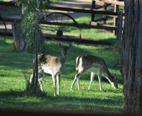 Panorama Garden Estate - Accommodation Mermaid Beach 7