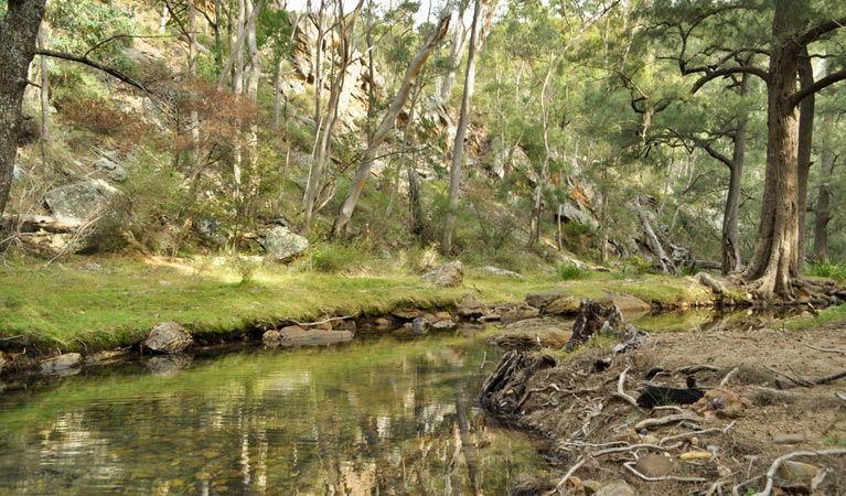 Glen Alice NSW Accommodation Mermaid Beach