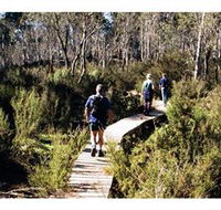 Hume and Hovell Walking Track - Henry Angel Trackhead - Accommodation Mermaid Beach