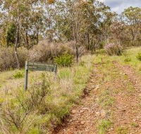 Old Mountain Road Walking Track - Accommodation Mermaid Beach