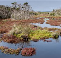 French Island National Park - Accommodation Mermaid Beach