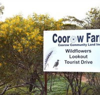 Coorow Farm Wildflower Trail - Accommodation Mermaid Beach