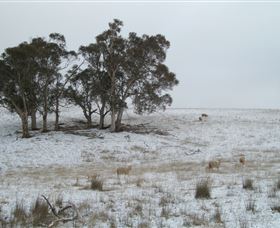 Crookwell Wind Farm - Accommodation Mermaid Beach 2