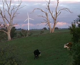 Crookwell Wind Farm - Accommodation Mermaid Beach 1