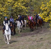 Burnelee Excursions on Horseback - Accommodation Mermaid Beach