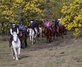Burnelee Excursions On Horseback - Accommodation Mermaid Beach 0