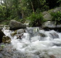 Washpool National Park - Accommodation Mermaid Beach