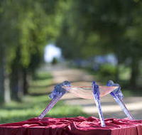 Lillico Glass Studio - Accommodation Mermaid Beach