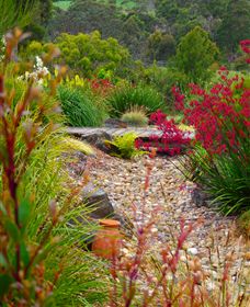 Ungulla Country Garden - Accommodation Mermaid Beach 1