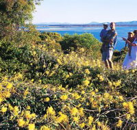 Joseph Banks Conservation Park - Accommodation Mermaid Beach