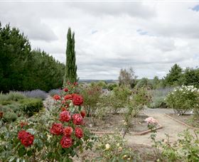 Capital Country NSW Accommodation Mermaid Beach