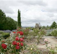 Crystal Brook Lavender Farm - Accommodation Mermaid Beach