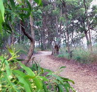Mount Mutton Walking Trail - Accommodation Mermaid Beach