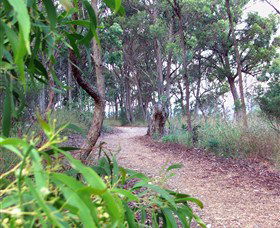 Mount Mutton Walking Trail - Accommodation Mermaid Beach 0