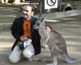 Activity Tours Australia - Accommodation Mermaid Beach 3
