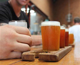 Daves Brewery Tours - Accommodation Mermaid Beach 2