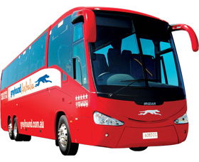 Greyhound Australia - Accommodation Mermaid Beach 0