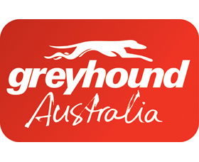 Greyhound Australia - Accommodation Mermaid Beach 2