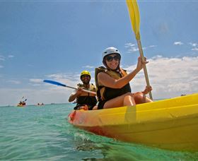 My Mates Tours - Accommodation Mermaid Beach 1