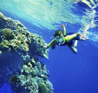 My Mates Tours - Accommodation Mermaid Beach