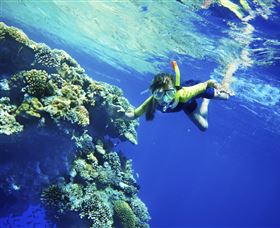 My Mates Tours - Accommodation Mermaid Beach 0