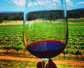 One Day Hunter Valley Day Tours And East Coast Adventures - Zepher Tours - Accommodation Mermaid Beach 4