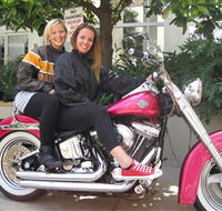 Wild Ride Harley and Motorcycle Tours - Accommodation Mermaid Beach