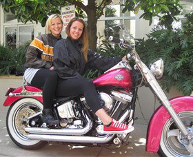 Wild Ride Harley And Motorcycle Tours - Accommodation Mermaid Beach 0