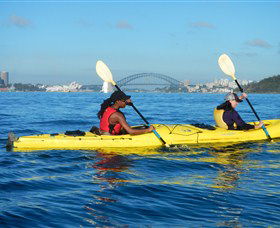 Lifes An Adventure - Accommodation Mermaid Beach 0