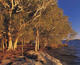 East Coast Adventure Bus - Accommodation Mermaid Beach 2