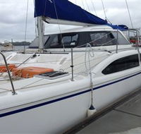 Top Cat Cruises - Accommodation Mermaid Beach