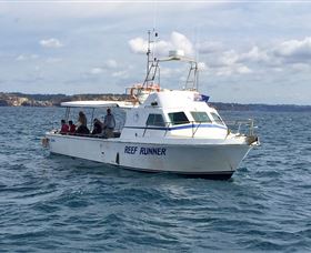 Deep Sea Fishing Charter - Accommodation Mermaid Beach 3