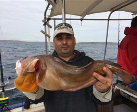 Deep Sea Fishing Charter - Accommodation Mermaid Beach 5