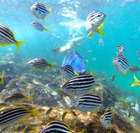 EcoTreasures - Accommodation Mermaid Beach