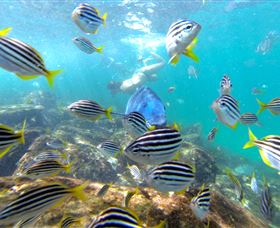 EcoTreasures - Accommodation Mermaid Beach 0