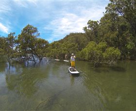 EcoTreasures - Accommodation Mermaid Beach 1