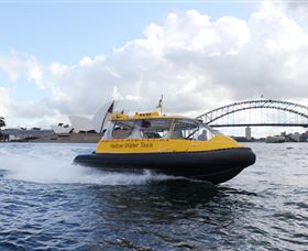 Yellow Water Taxis - Accommodation Mermaid Beach 0