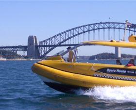 Yellow Water Taxis - Accommodation Mermaid Beach 1