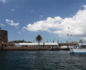 H2O Maxi Taxis - Accommodation Mermaid Beach 0