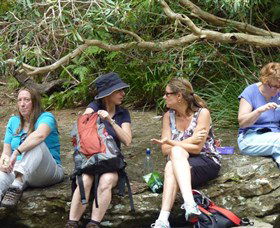 Dingo Tours - Accommodation Mermaid Beach 1