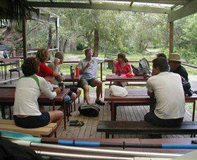 Dingo Tours - Accommodation Mermaid Beach 5