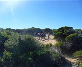 Dingo Tours - Accommodation Mermaid Beach 7