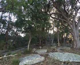 Go Beyond Tours - Accommodation Mermaid Beach 7
