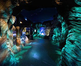 SEA LIFE Sydney Aquarium - Accommodation Mermaid Beach 3