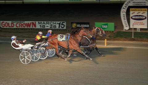 Bathurst Harness Racing Club - Accommodation Mermaid Beach 3