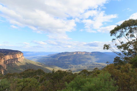 Dingo Travel - Accommodation Mermaid Beach 1