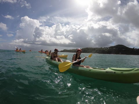 Cape Byron Kayaks - Accommodation Mermaid Beach 3