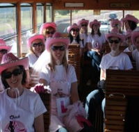 Newcastles Famous Tram - Accommodation Mermaid Beach